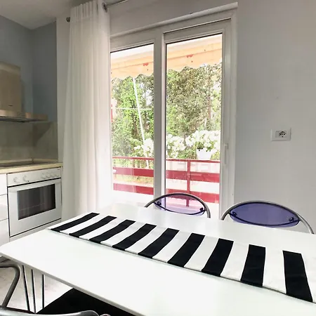 Apartman Cozy Nest Golem- 1 Min From The