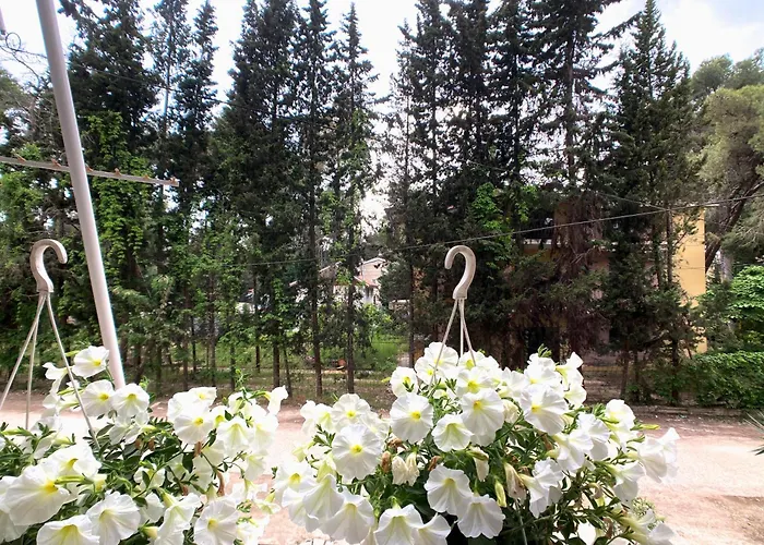 Apartamento Cozy Nest Golem- 1 Min From The *