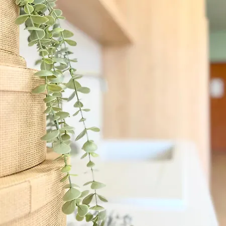 Cozy Nest Golem- 1 Min From The *